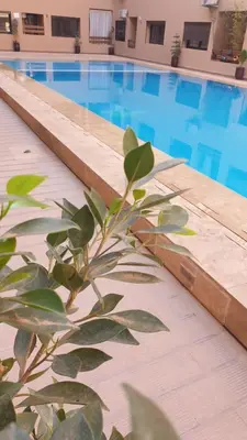 a plant in front of a swimming pool at Apparemment wafaa in Marrakech