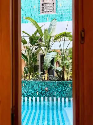 a window view of a pool with plants at Riad Casa Felicità & SPA in Marrakech