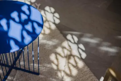 a shadow of a plant on a table with a frisbee at Villa de luxe Sahara in Marrakech