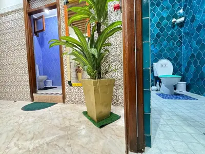 a bathroom with a potted plant and a toilet at Marrakech aRt in Marrakech