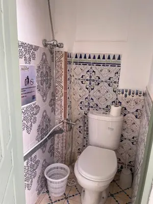 a bathroom with a toilet and a shower at Happy Marrakchy in Marrakech
