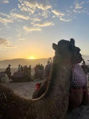a group of people with camels on the beach at sunset at Riad Dar Malwan Hotel and Massage in Marrakech