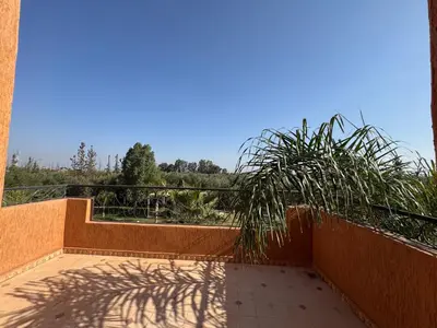 a shadow of a palm tree on a balcony at Maison Jannate Louise in Marrakech
