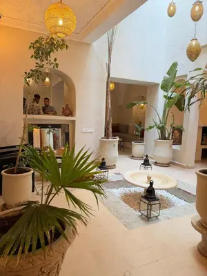 a living room filled with lots of potted plants at Riad BB Marrakech in Marrakech