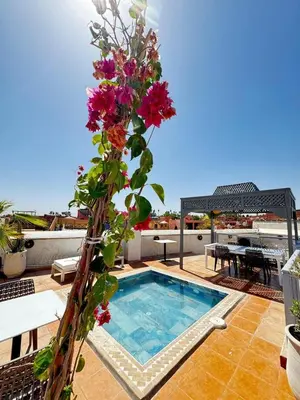 a plant with flowers on top of a roof at Riad BB Marrakech in Marrakech
