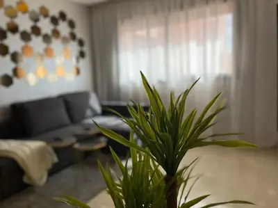 a living room with a couch and a plant at Lovely family condo in residence Marrakech in Marrakech