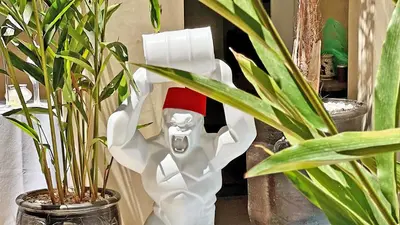 a white toilet with a santa hat is next to some plants at Riad Pourpre Medina in Marrakech