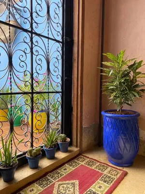a group of potted plants sitting on a window sill at Calm appartment close to airport of Marrakech in Marrakech