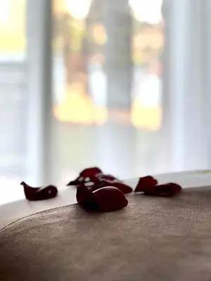 a group of red rose petals laying on the floor at Pavillon du Golf - Palmeraie suites in Marrakech