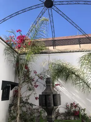 a chandelier hanging from the side of a building with flowers at Riad Dowaya in Marrakech