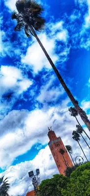 a palm tree and a building with a cloudy sky at Riad Zinoun & Spa 11 Rooms in Marrakech