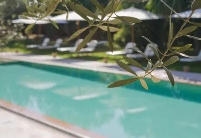 a plant next to a swimming pool at Les Deux Tours in Marrakech