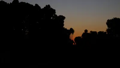 a silhouette of trees with the sunset in the background at Riad Nafis in Marrakech
