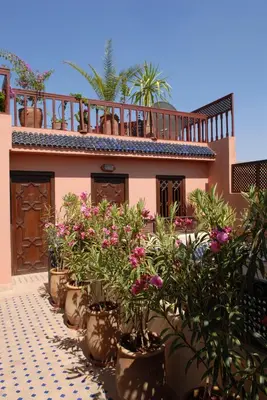 a house with potted plants in front of it at Riad Aubrac in Marrakech