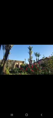 a collage of two pictures of a building and flowers at Riad Al Nakhil in Marrakech