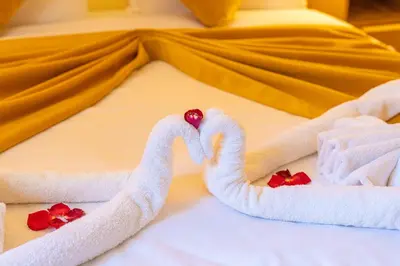 two swans made out of towels on a bed at Riad Louaya in Marrakech