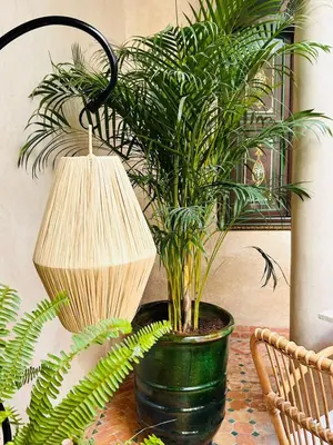 a potted plant sitting on a table next to a lamp at Riad Bamaga in Marrakech