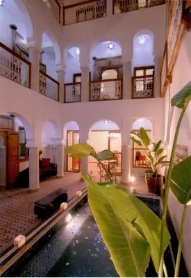 a room with a pool with a plant in it at Riad Chalymar in Marrakech