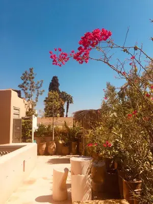 a bunch of potted plants and flowers on a patio at Riad De Vinci & SPA in Marrakech