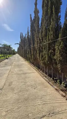 an empty road with a fence and trees at Riad Mhidou Marrakech in Marrakech