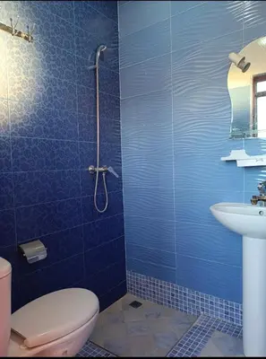 a blue bathroom with a toilet and a sink at Studio l'Oasis de la Palmeraie in Marrakech