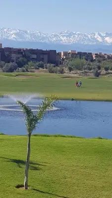 a palm tree sitting in the grass next to a lake at Marrakech Prestigia appartement vue piscine golf endroit calme in Marrakech