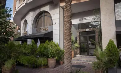 a store front with plants in front of it at Résidence Las Palmeras in Marrakech