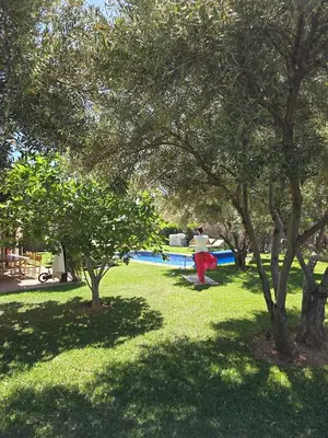 a person walking in a park with trees at Villa Ily Marrakech Oasis privée avec piscine chauffée et panorama Atlas in Marrakech