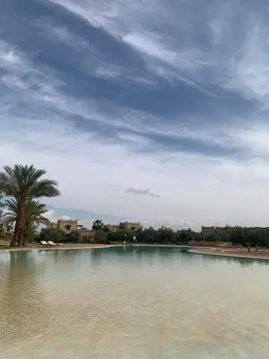 a large body of water with a palm tree and a sky at Villa Ily Marrakech Oasis privée avec piscine chauffée et panorama Atlas in Marrakech